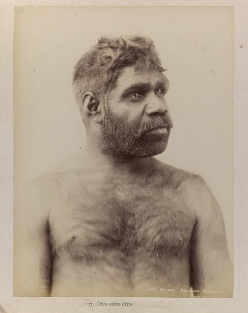 Weyera, Chief of the Hunter River Tribe by Charles Kerry c1890. SLNSW